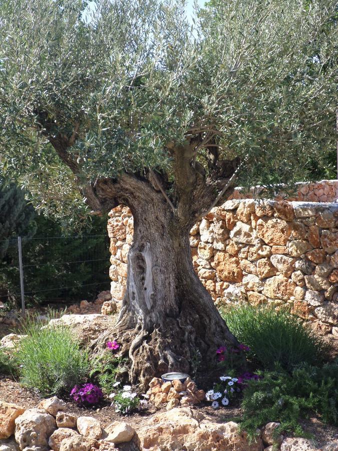 Le Clos Des Cambres Les Arcs-sur-Argens 외부 사진